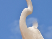 Everglades National Park