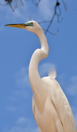 Everglades National Park