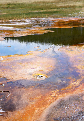 Yellowstone