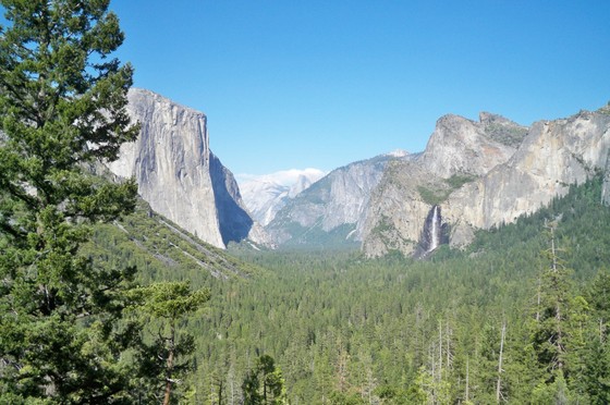 Yosemite National Park