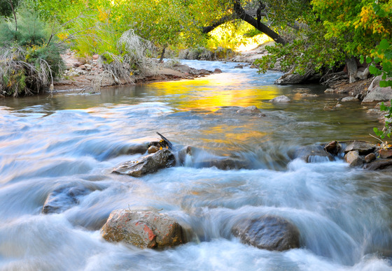 Zion National Park
