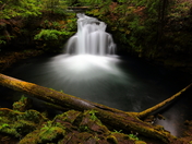 Rogue River National Forest