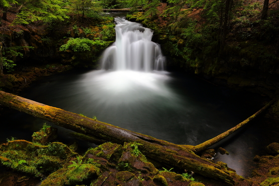 Rogue River National Forest