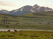 Yellowstone National Park