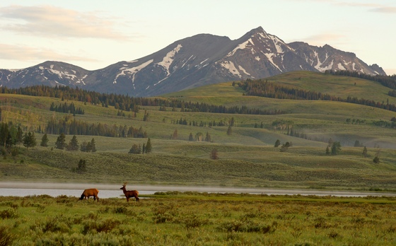 Yellowstone National Park