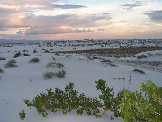 White Sands National Monument, New Mexico