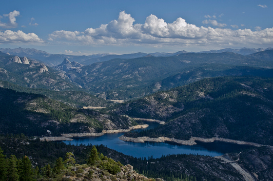 Sierra National forest