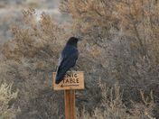 Chaco Culture National Historic Park