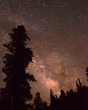 Carson National Forest