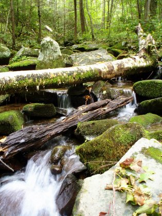 Smoky Mountain National Park, TN