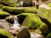 Great Smoky Mountains National Park