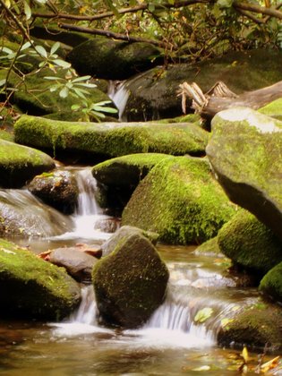 Great Smoky Mountains National Park