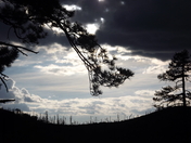 Coronado National Forest, Santa Cataline Mountains