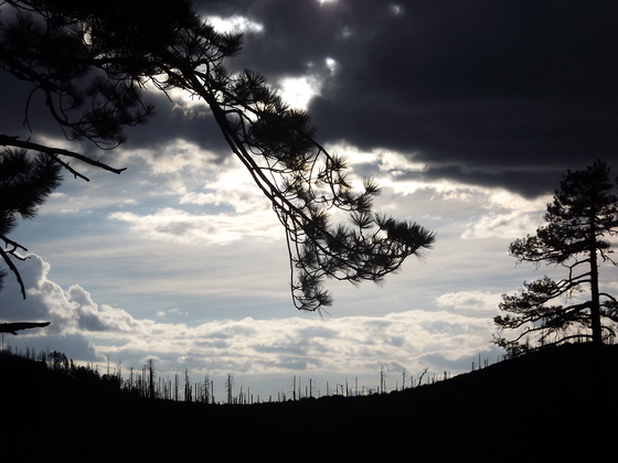 Coronado National Forest, Santa Cataline Mountains