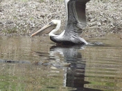Banks Lake National Wildlife Refuge