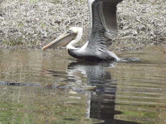 Banks Lake National Wildlife Refuge
