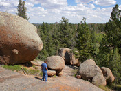 Medicine Bow National Forest