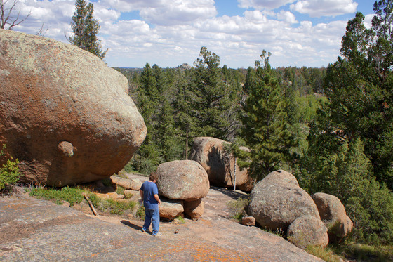 Medicine Bow National Forest