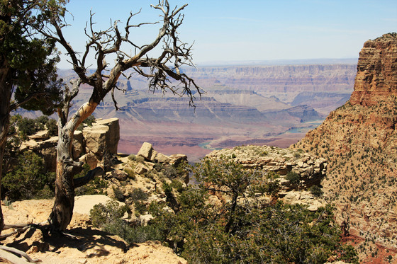 Grand Canyon