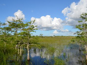 Everglades National Park, Florida