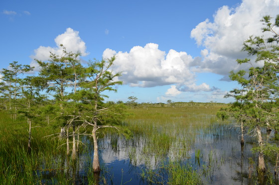 Everglades National Park, Florida