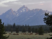Tetons National Park 