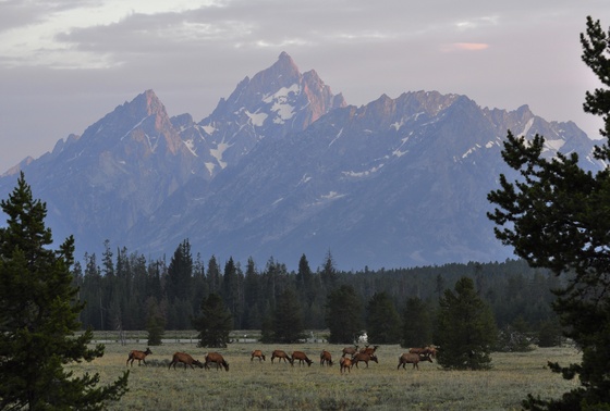 Tetons National Park 