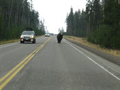 Yellowstone National Park