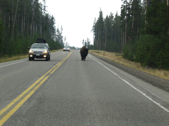 Yellowstone National Park