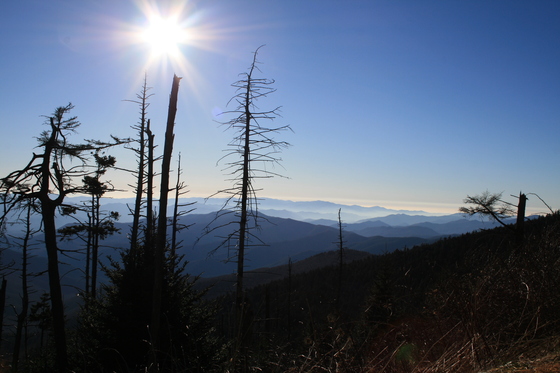 Great Smoky Mountains National Park