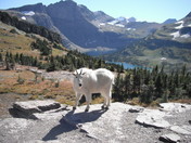 Glacier National Park