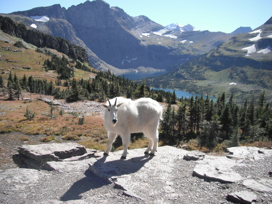 Glacier National Park
