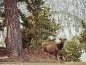 Rocky Mountain National Park