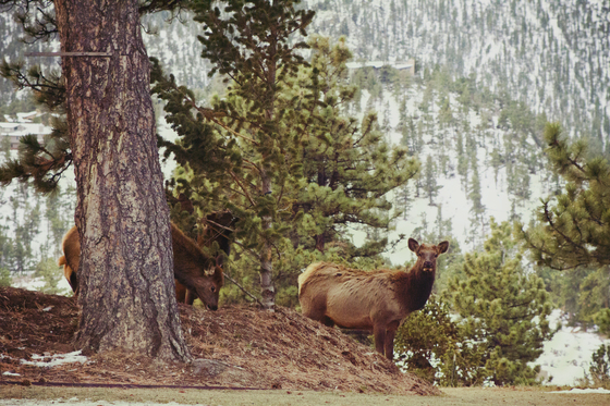 Rocky Mountain National Park