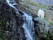 Glacier National Park