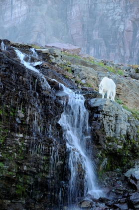 Glacier National Park