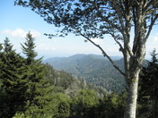 Smoky Mountain