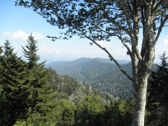 Smoky Mountain