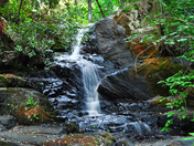 Kings Canyon National Park