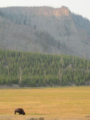 Yellowstone