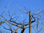Theodore Roosevelt Recreation area