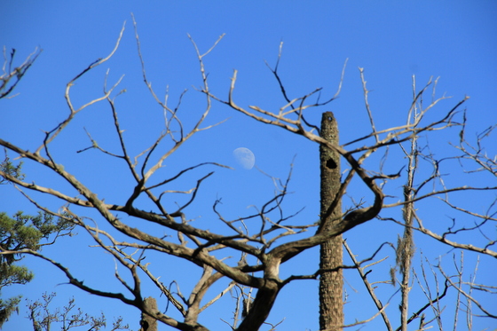 Theodore Roosevelt Recreation area