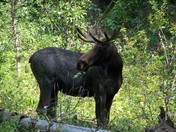 Grand Teton National Park