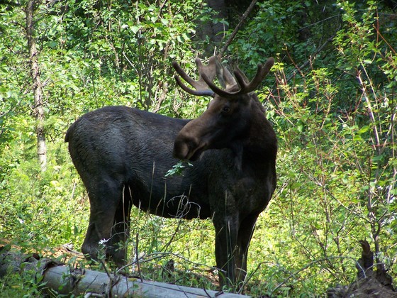 Grand Teton National Park