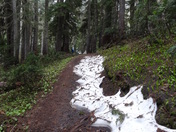 Mount Rainier National Park