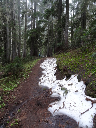 Mount Rainier National Park