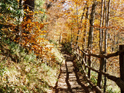 Great Smokey Mts. National Park