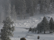 Yellowstone National Park
