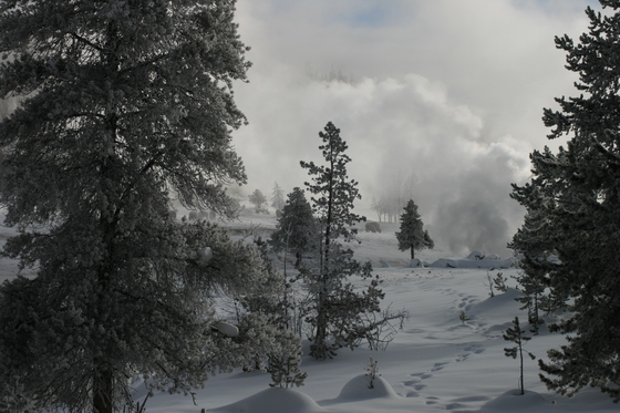 Yellowstone National Park