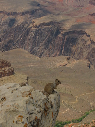 Grand Canyon